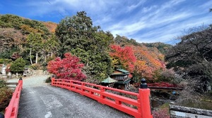 Namiの写メ日記｜セレブ 川崎高級店ソープ