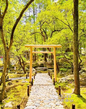 Meguの写メ日記｜セレブ 川崎高級店ソープ