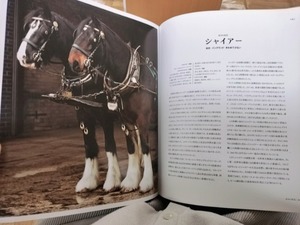 Umiの写メ日記｜セレブ 川崎高級店ソープ