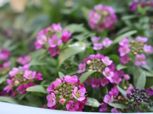 Hiroの写メ日記｜セレブ 川崎高級店ソープ