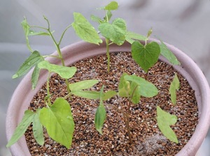 Hiroの写メ日記｜セレブ 川崎高級店ソープ