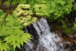 Hiroの写メ日記｜セレブ 川崎高級店ソープ