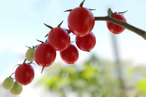 Hiroの写メ日記｜セレブ 川崎高級店ソープ