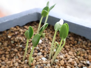 Hiroの写メ日記｜セレブ 川崎高級店ソープ