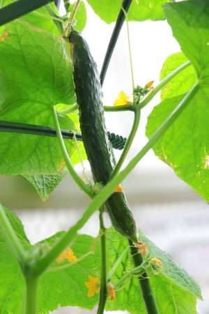 Hiroの写メ日記｜セレブ 川崎高級店ソープ