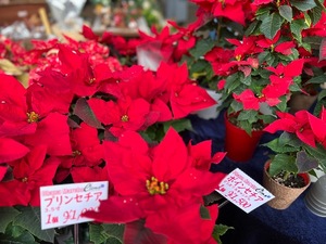 Rikaの写メ日記｜セレブ 川崎高級店ソープ