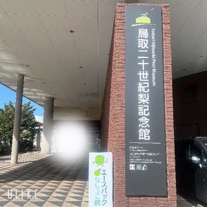 Rikaの写メ日記｜セレブ 川崎高級店ソープ