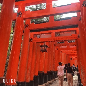 Rikaの写メ日記｜セレブ 川崎高級店ソープ