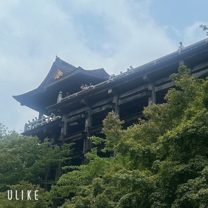 Rikaの写メ日記｜セレブ 川崎高級店ソープ