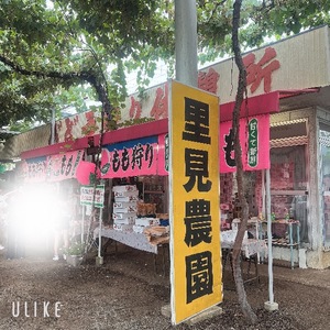 Rikaの写メ日記｜セレブ 川崎高級店ソープ