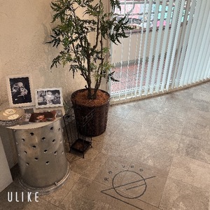 Rikaの写メ日記｜セレブ 川崎高級店ソープ