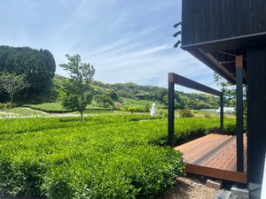 Marinaの写メ日記｜セレブ 川崎高級店ソープ