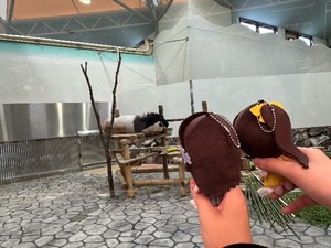 Sanaeの写メ日記｜セレブ 川崎高級店ソープ