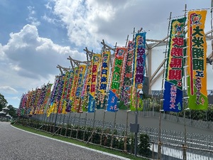 Fumikaの写メ日記｜セレブ 川崎高級店ソープ