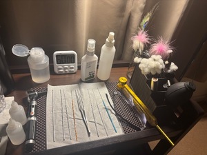 Sayukiの写メ日記｜セレブ 川崎高級店ソープ