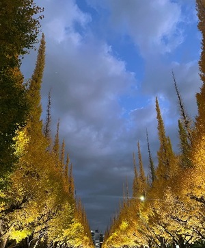 Emiriの写メ日記｜セレブ 川崎高級店ソープ