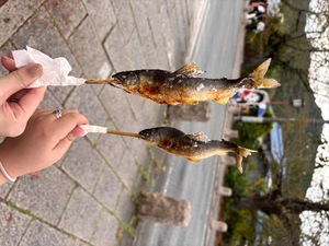 Asunaの写メ日記｜セレブ 川崎高級店ソープ