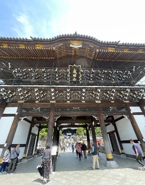 Mireaの写メ日記｜セレブ 川崎高級店ソープ