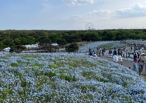 Mireaの写メ日記｜セレブ 川崎高級店ソープ