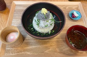 Mireaの写メ日記｜セレブ 川崎高級店ソープ