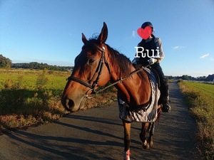 Ruiの写メ日記｜セレブ 川崎高級店ソープ