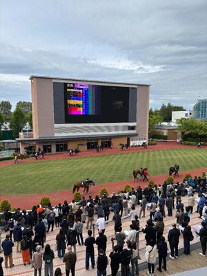 ゆうりの写メ日記｜クラブハウスシェル 川崎堀之内高級店ソープ