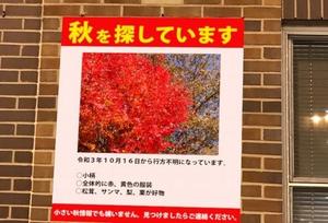 舞花の写メ日記｜ジャパンクラブ 横浜高級店ソープ