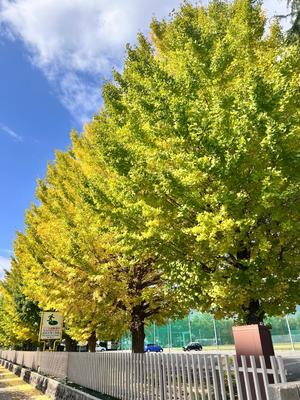 南の写メ日記｜ジャパンクラブ 川崎高級店ソープ