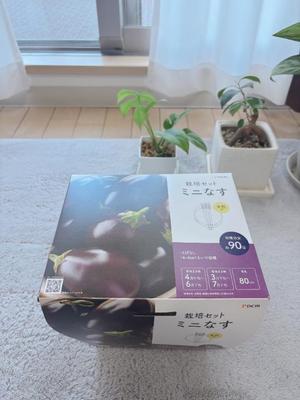 風花の写メ日記｜ジャパンクラブ 川崎高級店ソープ