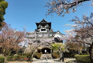 環の写メ日記｜ジャパンクラブ 川崎高級店ソープ