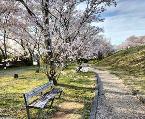 環の写メ日記｜ジャパンクラブ 川崎高級店ソープ