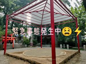 環の写メ日記｜ジャパンクラブ 横浜高級店ソープ
