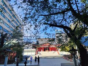 環の写メ日記｜ジャパンクラブ 横浜高級店ソープ