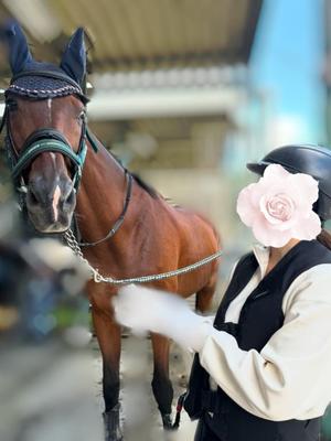 蒼井の写メ日記｜ジャパンクラブ 川崎高級店ソープ