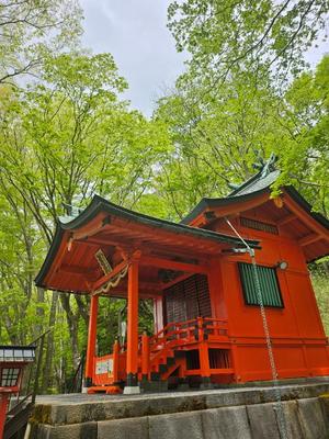 森沢　ゆりあの写メ日記｜エル・カーヒル 秘密の刻 川崎南町高級店ソープ