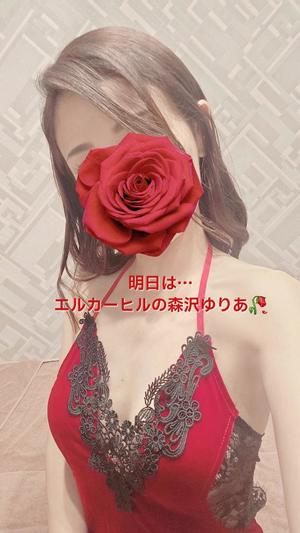 森沢　ゆりあの写メ日記｜エル・カーヒル 秘密の刻 川崎南町高級店ソープ