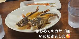 森沢　ゆりあの写メ日記｜エル・カーヒル 秘密の刻 川崎高級店ソープ