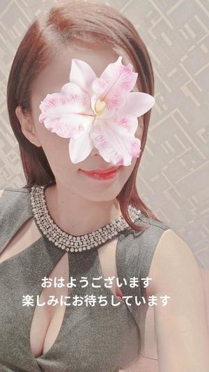 森沢　ゆりあの写メ日記｜エル・カーヒル 秘密の刻 川崎高級店ソープ