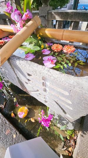 森沢　ゆりあの写メ日記｜エル・カーヒル 秘密の刻 川崎南町高級店ソープ