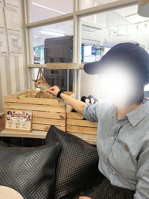 君島　きょうかの写メ日記｜エル・カーヒル 秘密の刻 川崎高級店ソープ