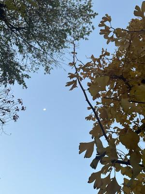 浜辺　ひなたの写メ日記｜エル・カーヒル 秘密の刻 川崎南町高級店ソープ