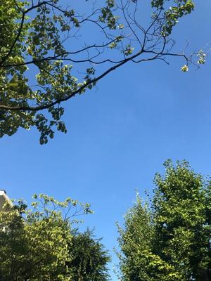 浜辺　ひなたの写メ日記｜エル・カーヒル 秘密の刻 川崎高級店ソープ