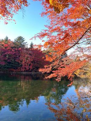 Misaki Arimuraの写メ日記｜エレガント 川崎高級店ソープ