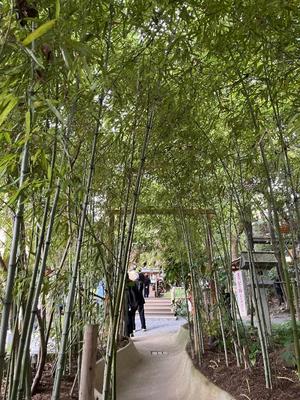 Misaki Arimuraの写メ日記｜エレガント 川崎高級店ソープ