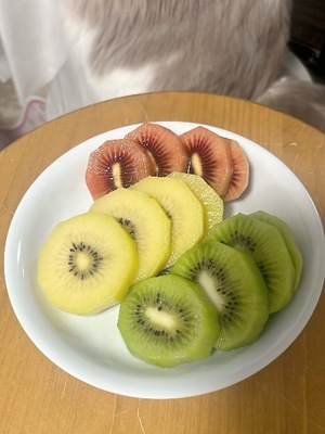 Akane Niikuraの写メ日記｜エレガント 川崎高級店ソープ