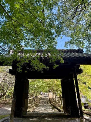 Ren Saotomeの写メ日記｜エレガント 川崎高級店ソープ