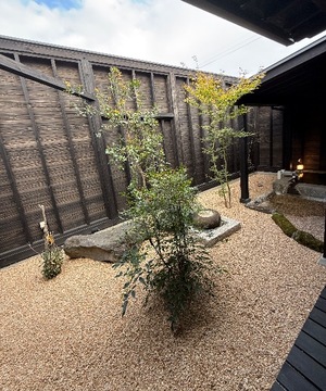 Ren Saotomeの写メ日記｜エレガント 川崎高級店ソープ