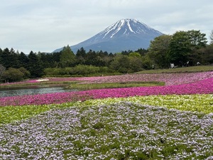 Yui Shinonomeの写メ日記｜エレガント 川崎高級店ソープ
