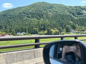 Yui Shinonomeの写メ日記｜エレガント 川崎高級店ソープ