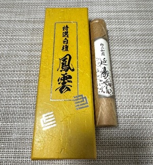 Machi Katsuragiの写メ日記｜エレガント 川崎高級店ソープ
